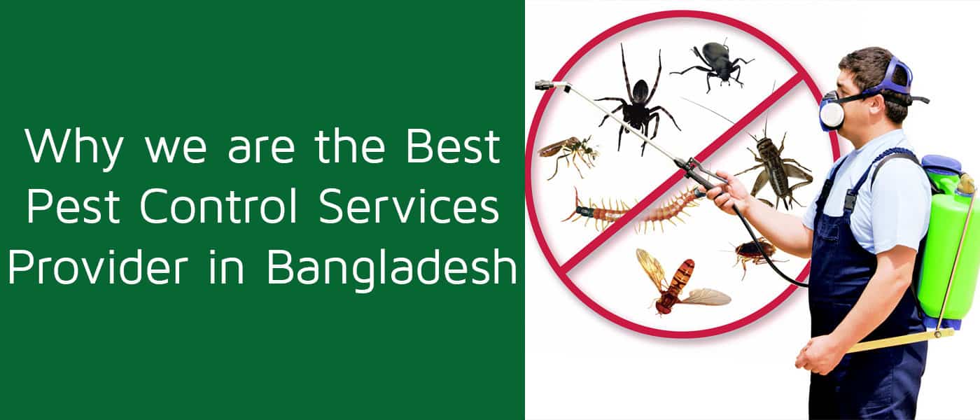 Why we are the Best Pest Control Services Provider in Bangladesh
