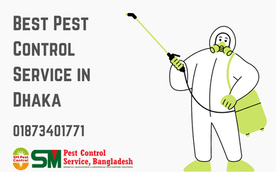Best Pest control service in Dhaka : Affordable and Effective