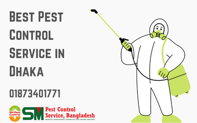 Best Pest control service in Dhaka : Affordable and Effective
