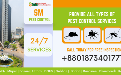 Best Pest Control Company In Dhaka