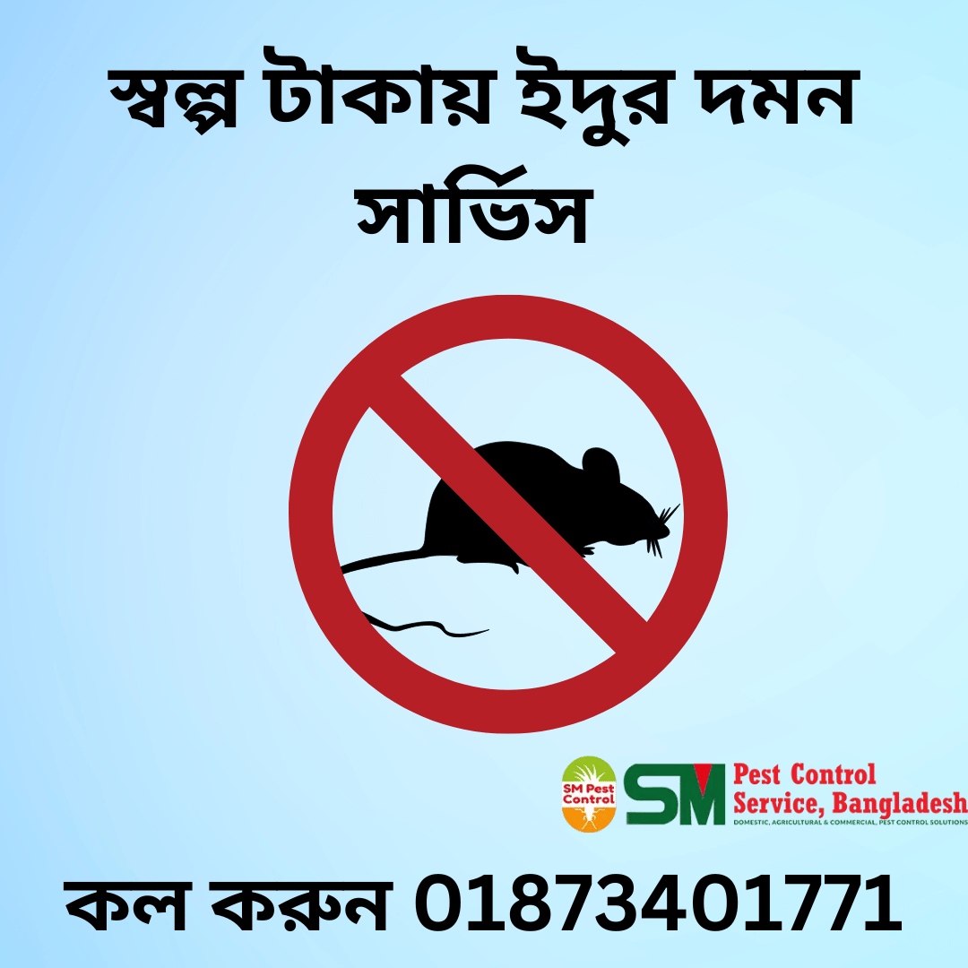 ইদুর দমন সার্ভিস Rodent Control Dhaka
