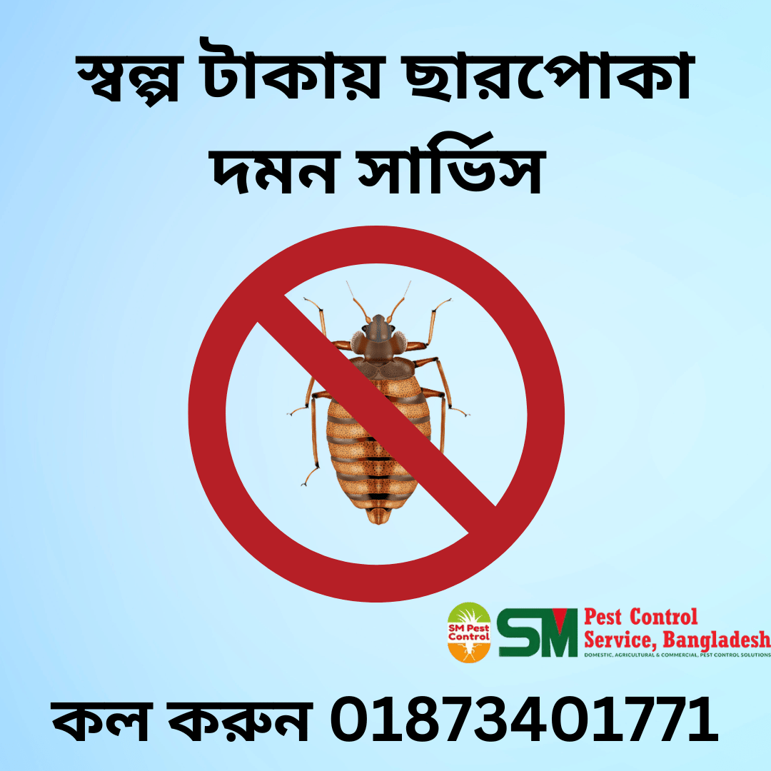 ছারপোকা দমন সার্ভিস ঢাকা Bedbugs Control Dhaka
