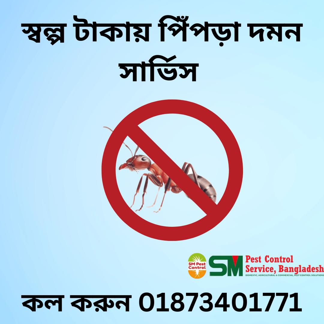 পিঁপড়া দমন সার্ভিস Ant Control Dhaka