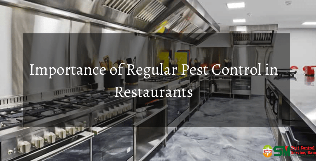 Importance of Regular Pest Control in Restaurants
