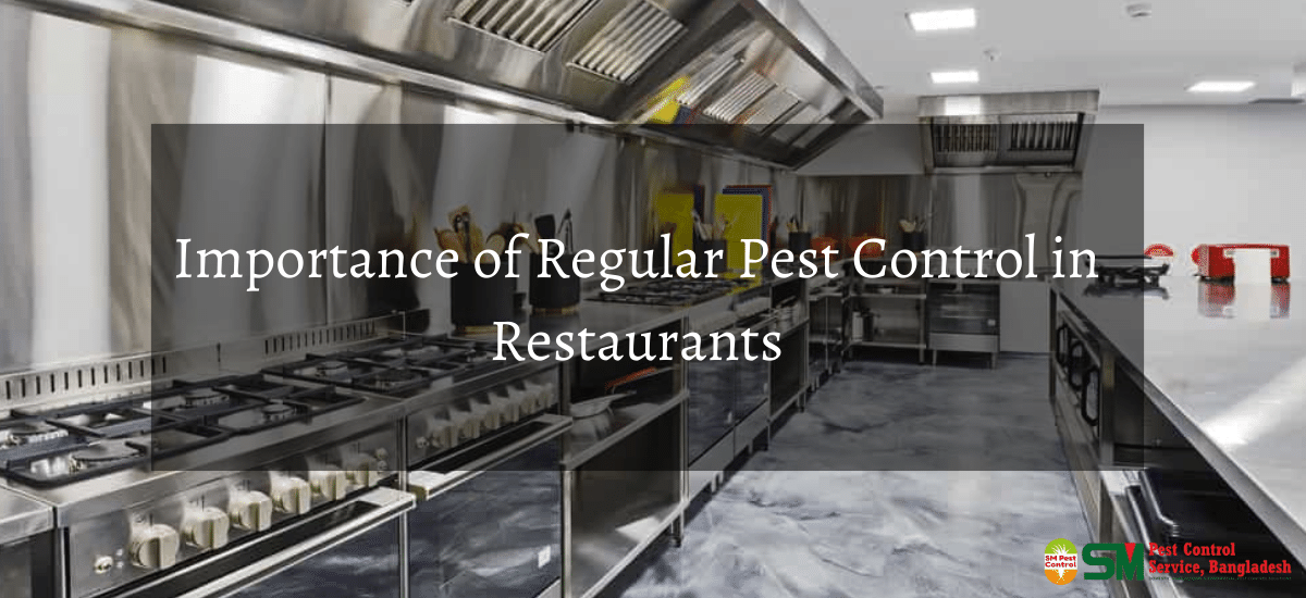 Best Pest Control Services In Dhaka 01873401771