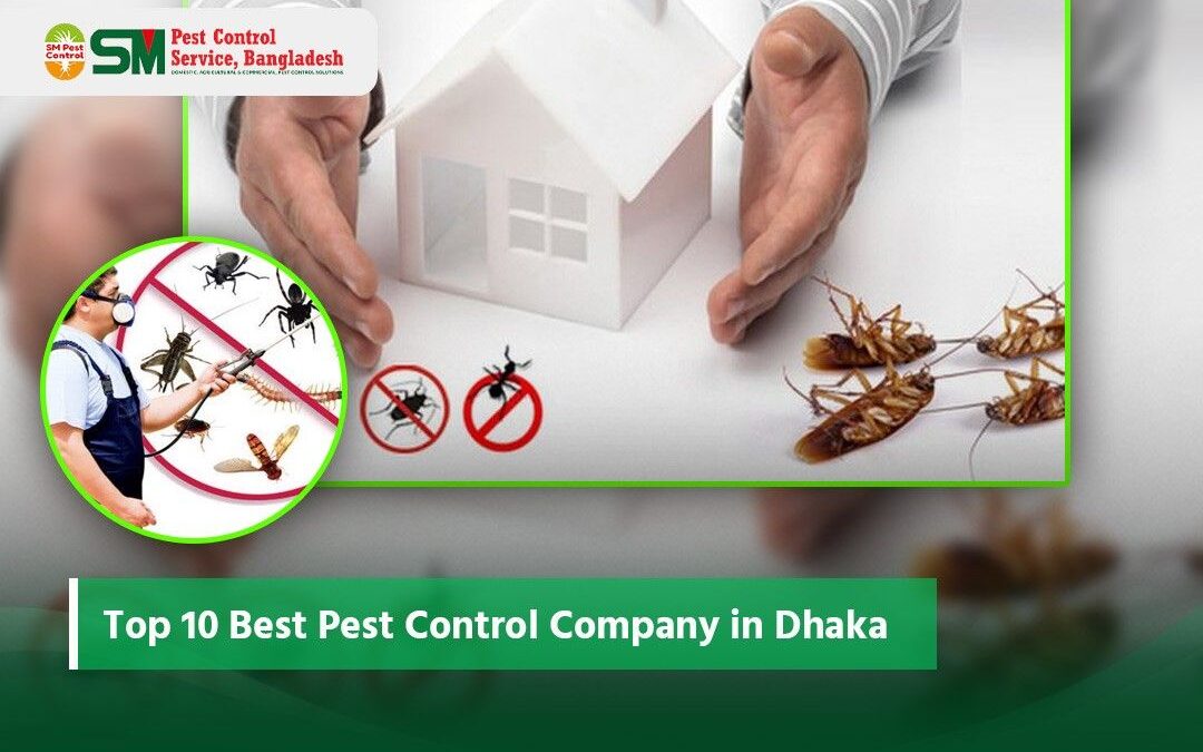 Top 10 Best Pest Control Company in Dhaka 2026