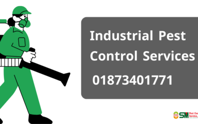 Industrial Pest Control Services in Dhaka