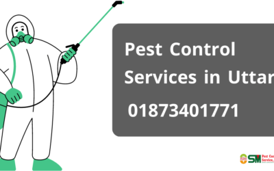 Pest Control Services in Uttara | 01873401771 Free Query