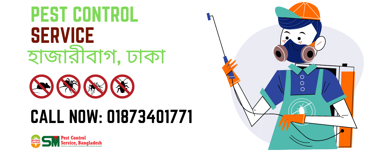 Pest Control Service in Hazaribagh