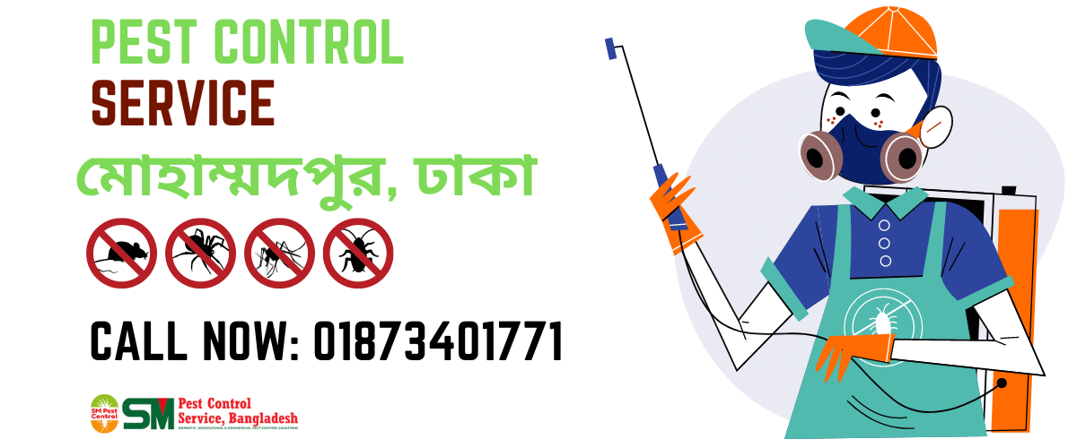 Pest Control Service in Mohammadpur