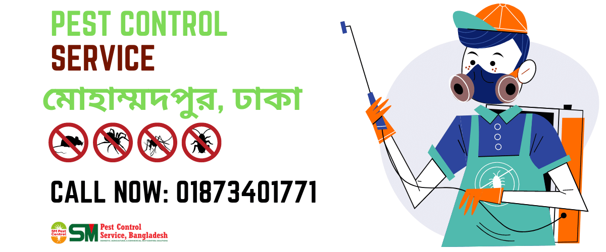Pest Control Service in Mohammadpur Pest Control Service in Mohammadpur