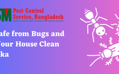 Stay Safe from Bugs and Keep Your House Clean in Dhaka