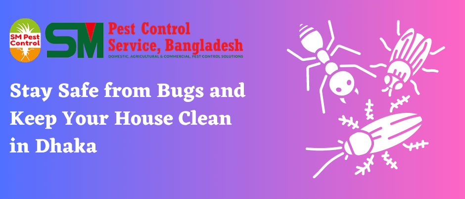 Stay Safe from Bugs and Keep Your House Clean in Dhaka