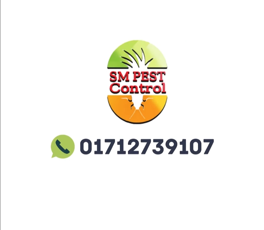 Pest Control Service in Narayanganj | SM Pest Control