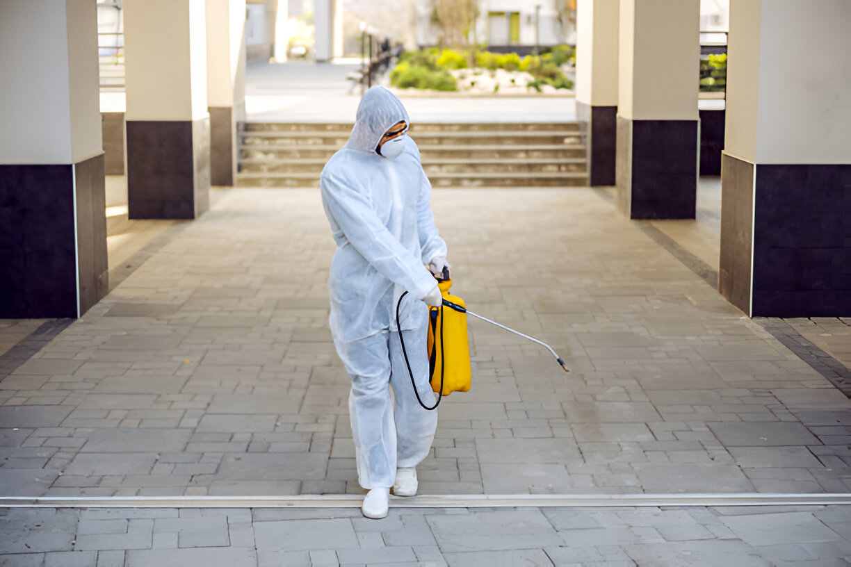 Pest Control Service in Mymensingh | SM Pest Control