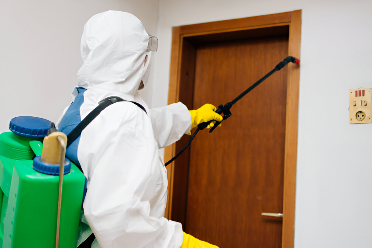 Pest Control Service in Narayanganj | SM Pest Control