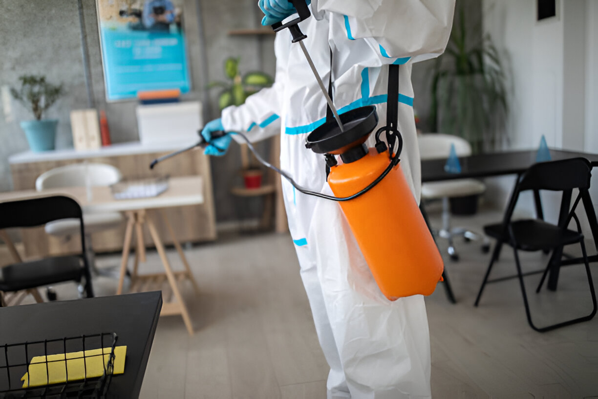Pest Control Service in Baily Road | SM Pest Control