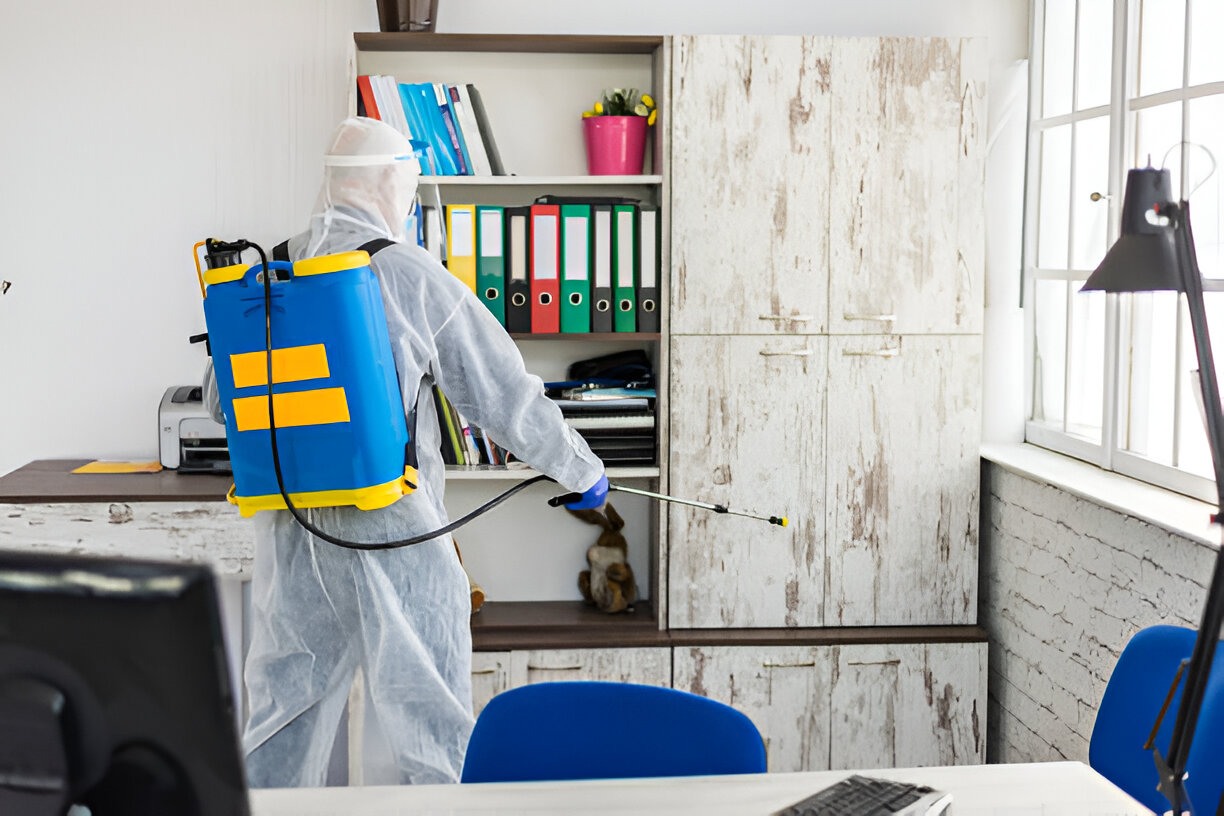 Pest Control Service in Cumilla | SM Pest Control