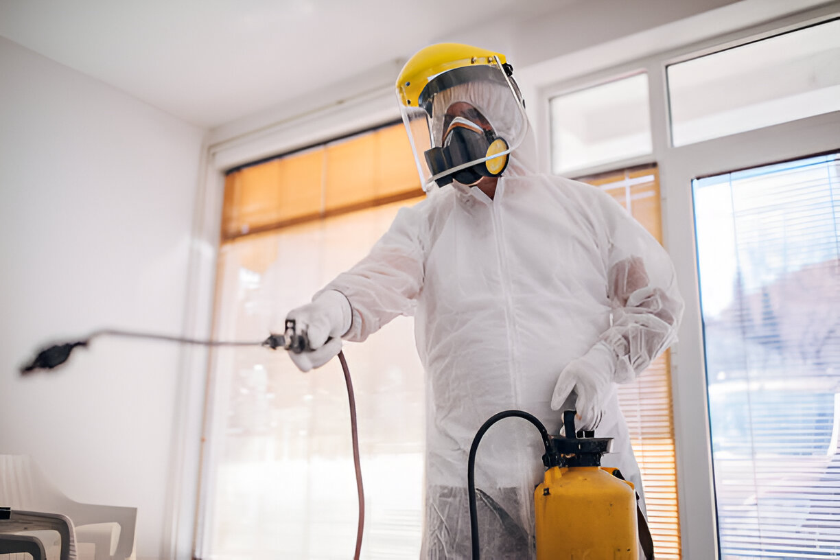 Pest Control Service in Baily Road | SM Pest Control