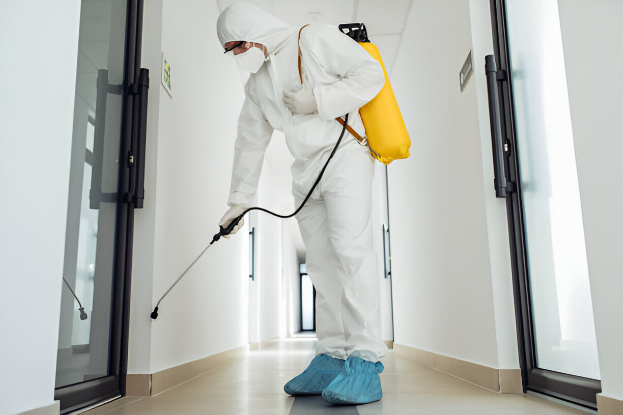 Residential Pest Control Service In Bangladesh | SM Pest Control