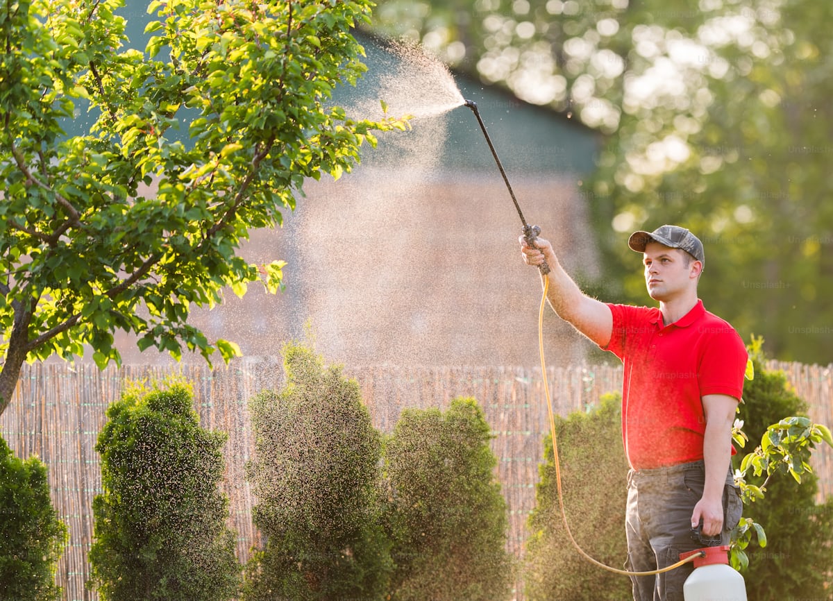 Pest Control Pabna | SM Pest Control