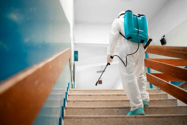 Pest Control Kushtia | SM Pest Control
