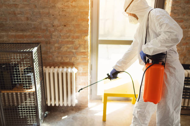 Pest Control Kushtia | SM Pest Control