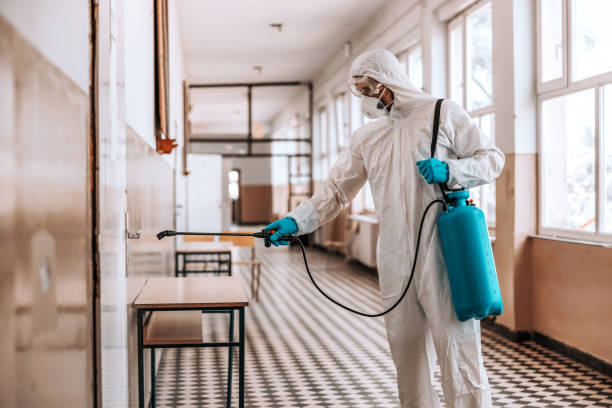 Pest Control Kushtia | SM Pest Control