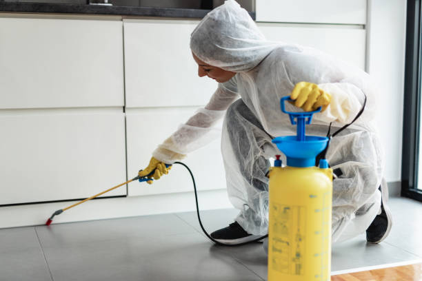 Pest Control Kushtia | SM Pest Control