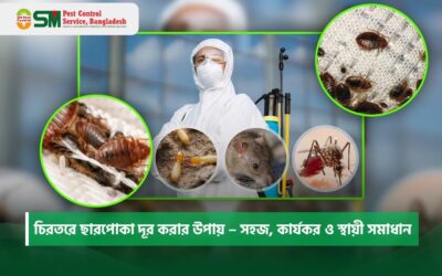 চিরতরে ছারপোকা দূর করার উপায় – সহজ, কার্যকর ও স্থায়ী সমাধান (২০২৬)