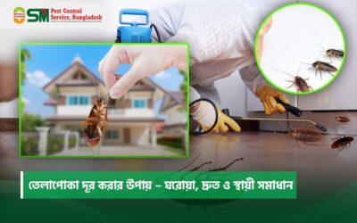 তেলাপোকা দূর করার উপায় – ঘরোয়া, দ্রুত ও স্থায়ী সমাধান (২০২৬ গাইড)