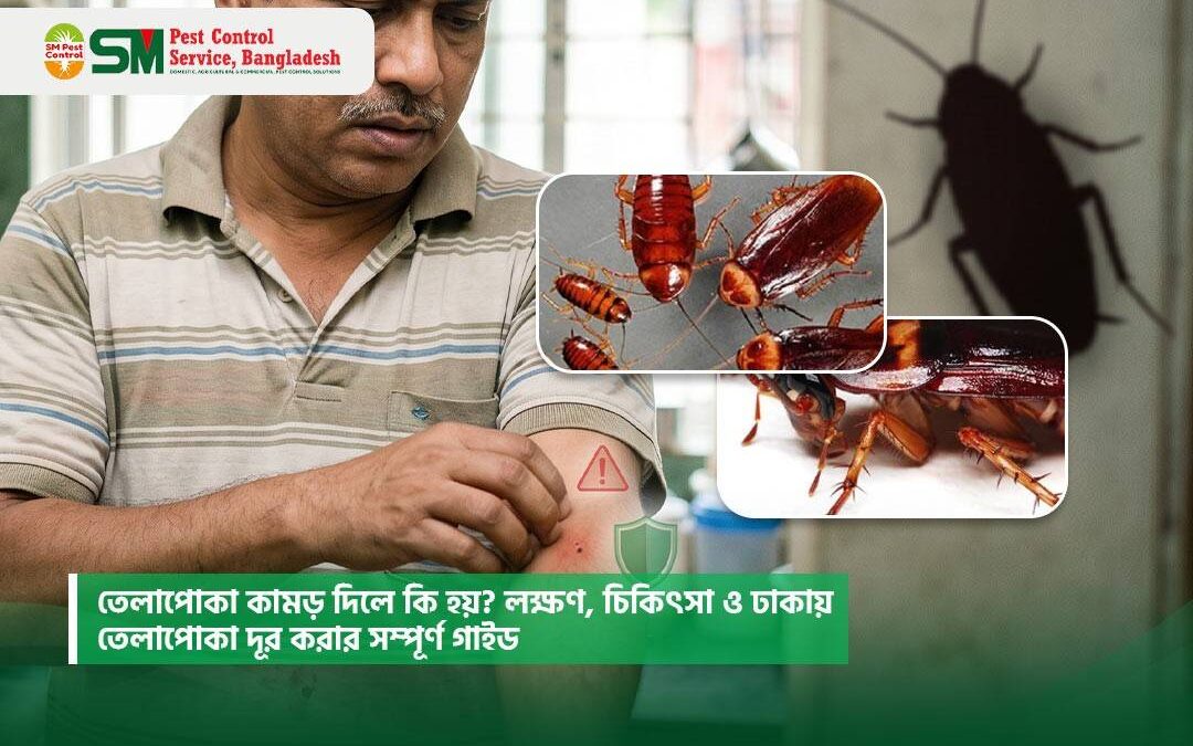 তেলাপোকা কামড় দিলে কি হয়