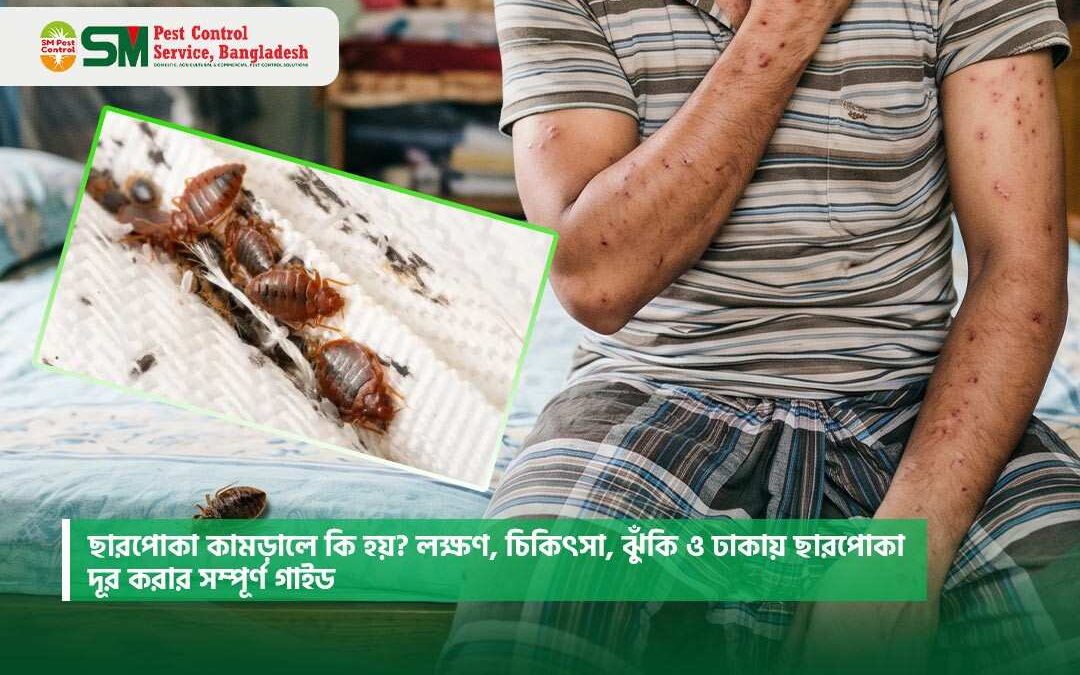 ছারপোকা কামড়ালে কি হয়