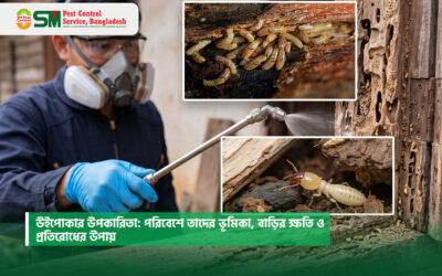 উইপোকার উপকারিতা: পরিবেশে তাদের ভূমিকা, বাড়ির ক্ষতি ও প্রতিরোধের উপায়
