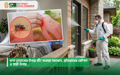 মশা তাড়ানোর উপায় কী? ঘরোয়া সমাধান, প্রতিরোধের কৌশল ও স্থায়ী উপায়